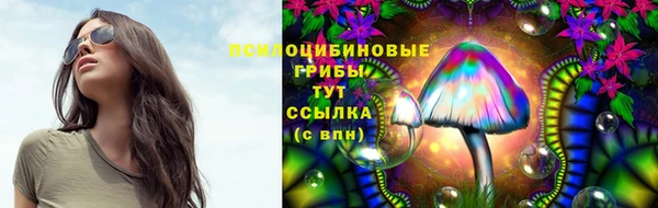 молекула духа Аркадак