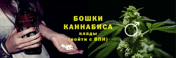 молекула духа Аркадак