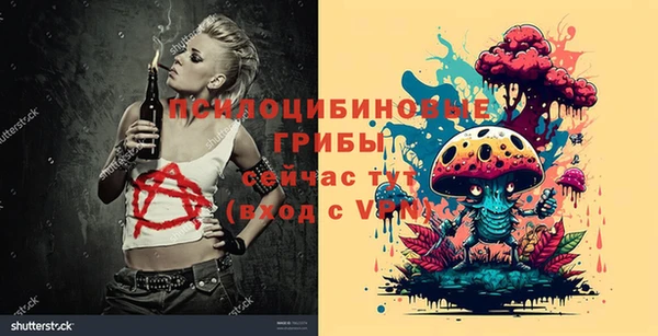 ешки Арсеньев