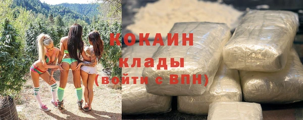 ешки Арсеньев