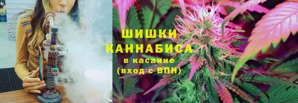 молекула духа Аркадак