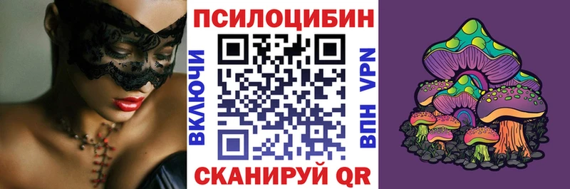 Галлюциногенные грибы Cubensis  как найти закладки  Нефтекумск 